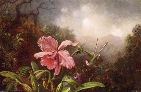 Martin Johnson Heade Two Hummingbirds By An Orchid Painting Best Two