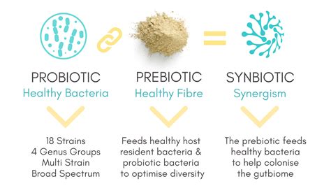 Why Synbiotics - Gutbiome