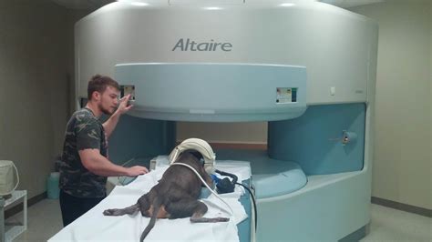 Magnetic Resonance Imaging Safari Veterinary In League City Tx