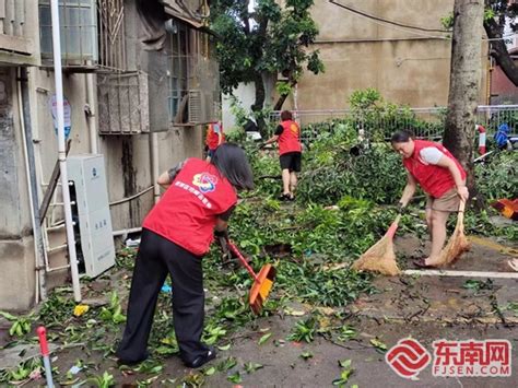 最是风雨见初心 鲤城区基层党组织和党员干部带头防抗强台风 鲤城融媒 东南网泉州频道