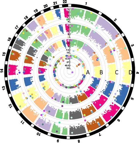 Circos Plots Showing Genome Wide Distribution Across Autosomal