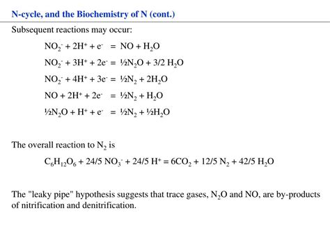 PPT - BIOGEOCHEMISTRY OF NITROGEN PowerPoint Presentation, free download - ID:89335