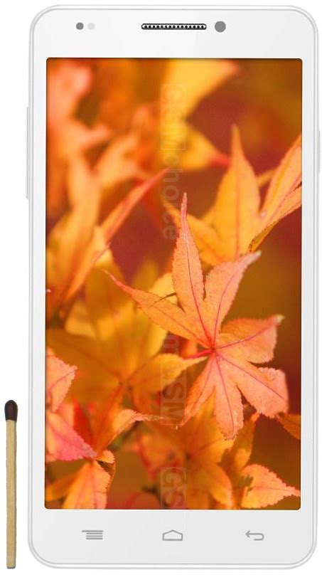 Intex Aqua Extreme II Photo Gallery GSMchoice