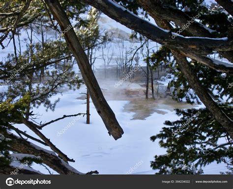 Hot Springs Winter Snow — Stock Photo © Christian_Drees #384234022