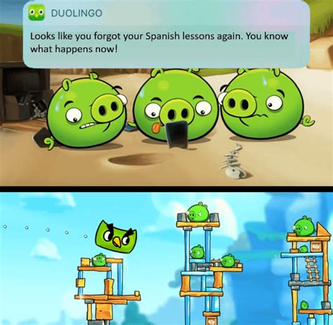 Angry duolingo : r/dankmemes