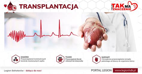 Transplantacja Legion Hdk