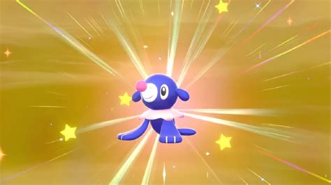 Live Shiny Popplio After Exactly Eggs In Pokemon Sword And Shield