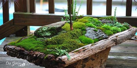 Moss Garden Indoor Atelier Yuwa Ciao Jp