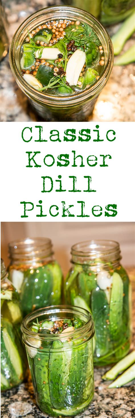 The Best Classic Kosher Dill Pickle Recipe — Tiaras And Tantrums