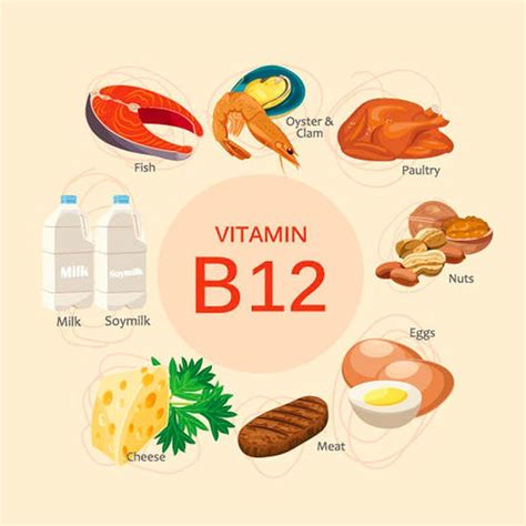 Food List With High Vitamin B 12 Deficiency Function 58 OFF