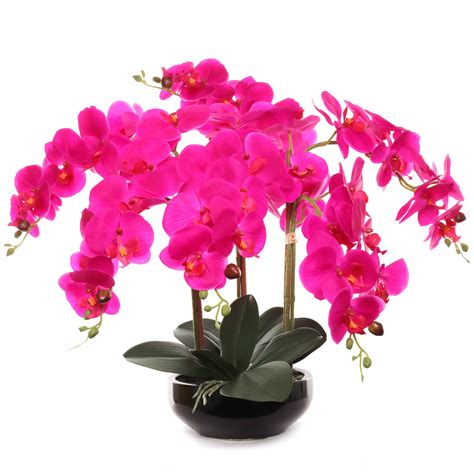 Fuchsia Phalaenopsis Orchid Arrangement In Ceramic Vase 19 Larksilk