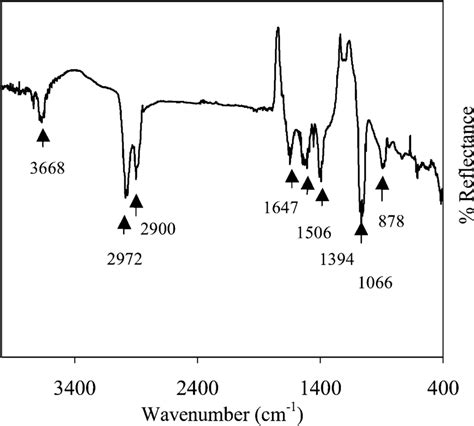 Ftir Spectrum Of Albumin Download Scientific Diagram