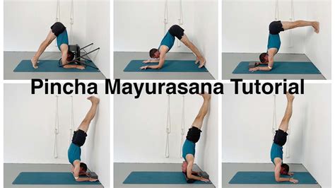 Pincha Mayurasana Feathered Peacock Or Forearm Balance Tutorial Youtube