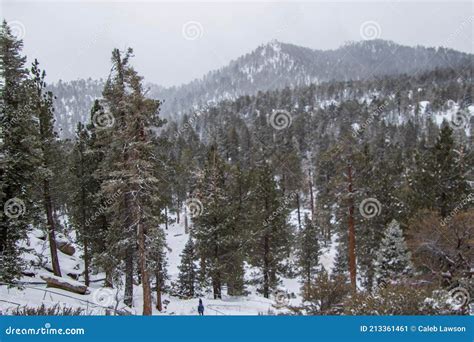 Palm Springs Aerial Tramway and Mt San Jacinto State Park Stock Image ...