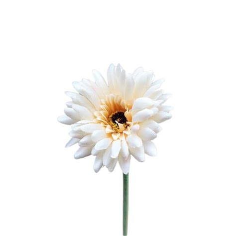 K Nstliche Blume Gerbera Teudelinde Wei Creme Cm Cm