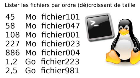 Comment Lister Trier Tous Les Fichiers Dans Un Dossier R Pertoire Par