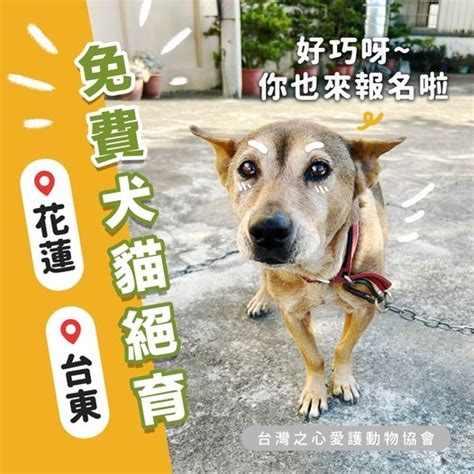 花東｜4月份免費犬貓絕育活動】 台灣之心愛護動物協會 Hotac