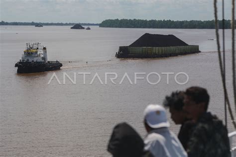 HARGA BATU BARA ACUAN BULAN JUNI NAIK ANTARA Foto