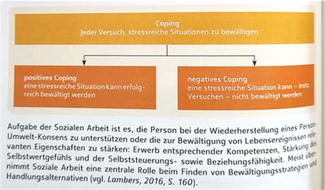 Entwicklungspsychologie Coping Und Resilienz Flashcards Quizlet