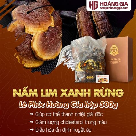 Nấm Lim Xanh Rừng Quảng Nam Hộp 500g Loại Phòng Bệnh Sâm Yến Hoàng Gia