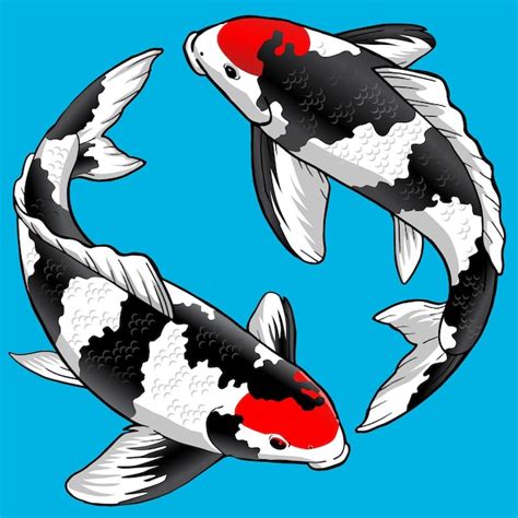 Set De Peces Tancho Showa Koi Para Pack Premium Vector Premium