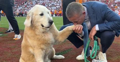 What Happened to Kirk Herbstreit's Dog? A Heartbreaking Update