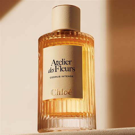 Chloé Atelier des Fleur Cedrus Intense - Parfémová voda z CHLOÉ ≡ SEPHORA