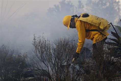 Deben Cerrar 20 Años áreas Afectadas Por Incendios Forestales Infonor