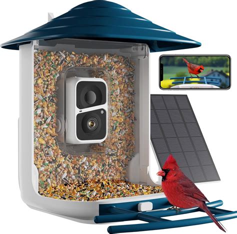 Dzees Smart Bird Feeder With Camera Bird Feeder Camera Wireless