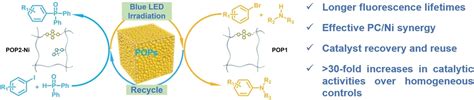 Diaryl Dihydrophenazine‐based Porous Organic Polymers Enhance Synergistic Catalysis In Visible