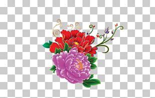 Moutan Peony Floral Design Flower PNG Clipart Adobe Illustrator