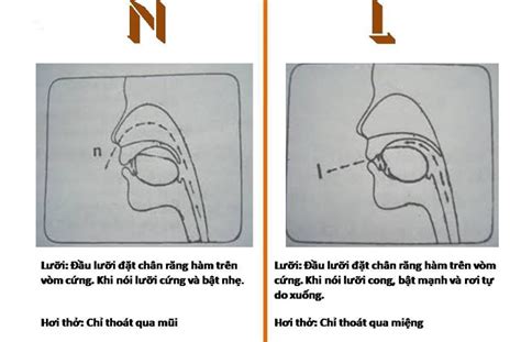 Khắc phục cách phát âm l và n trong tiếng Việt không phải ai cũng biết