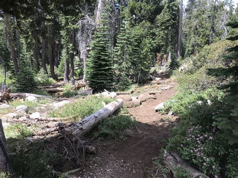 Summit Lake Trail - Truckee Trails Foundation