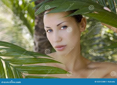 Beautiful Woman Hiding Behind The Palm Leaves Stock Photo Image Of