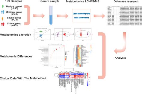 Frontiers Sera Metabolomics Characterization Of Patients At Different