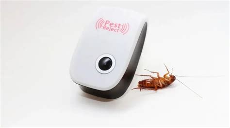 How Ultrasonic Pest Repellers Work Science Behind The Solution