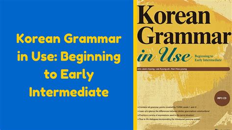 Korean Grammar In Use Beginning To Early Intermediate Hanhan Jabji