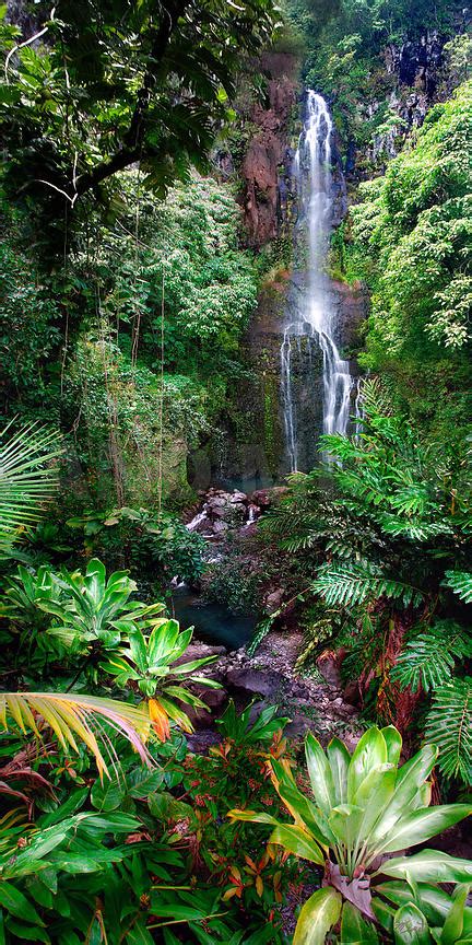 Michael Swiet Photography Maui Hawaii Sweet Hanaheaven