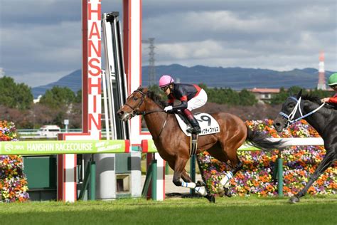 【新馬阪神5r】ヴィクティファルスが断然の人気に応える 競馬ニュースなら競馬のおはなし