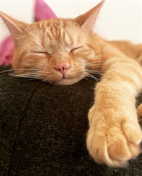 niles hospital michigan 8