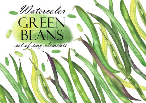 Watercolor Green Beans Clipart, Bean Clip Art, Fresh Vegetables ...