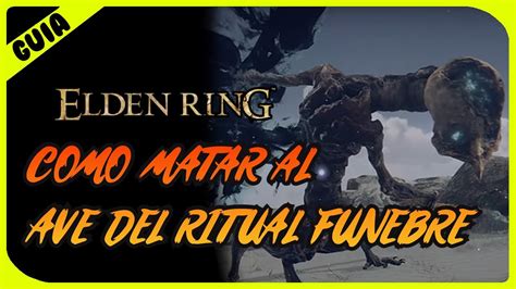 AVE DEL RITUAL FUNEBRE | GUIA DE COMO MATARLO FACIL | DEATH RITE BIRD ...