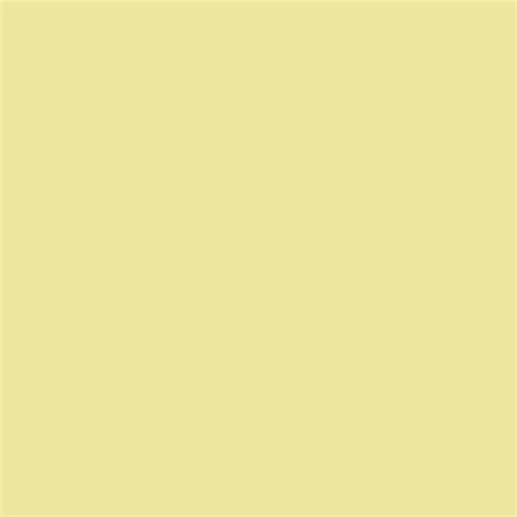 Mustard Yellow Color – Jetcoat