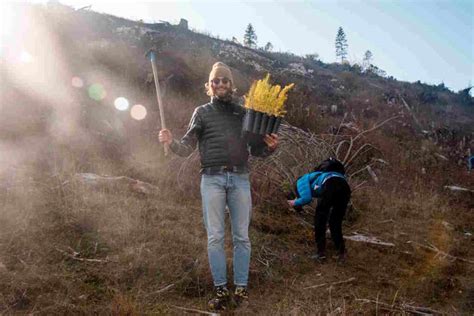 Foresta Degli Innovatori Mille Nuovi Alberi Per Far Rinascere Le