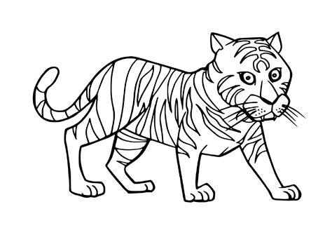 Dessin Tigre 49 coloriages à imprimer