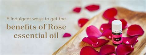 Benefits of Rose Oil | Young Living Blog