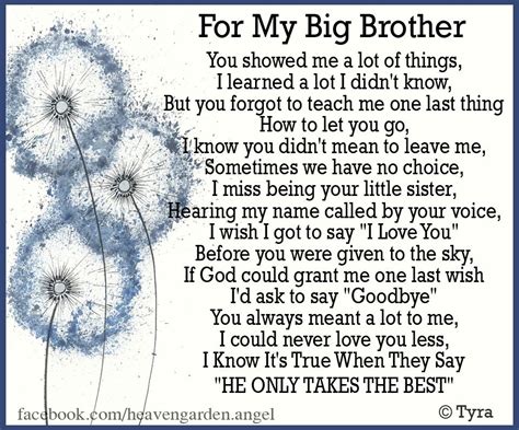 Memorial Poems Big Brother Gone Heavens Garden Big Brother Quotes