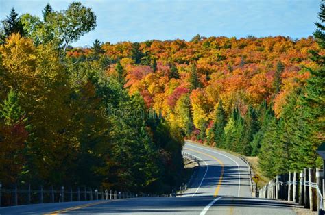 Fall Colors in Algonquin stock photo. Image of leaves - 259479280