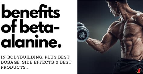 Beta Alanine Benefits For Bodybuilding & Best Dosage