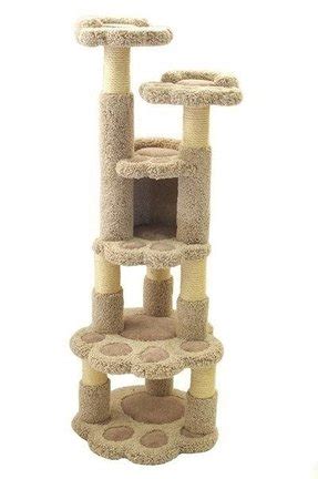 Cat Condos For Large Cats - Foter